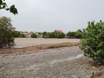 179 Juta Rumah Cluster Murah di Bandara Juanda Sidoarjo