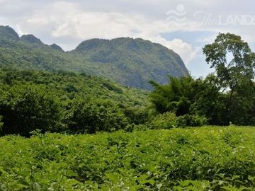 INCREDIBLE PRICE WITH 130 METERS OF RIVERFRONT AND 50 METERS ON THE HIGHWAY JUST 13 KM FROM ERAWAN NATIONAL PARK!!!