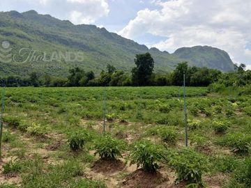 INCREDIBLE PRICE WITH 130 METERS OF RIVERFRONT AND 50 METERS ON THE HIGHWAY JUST 13 KM FROM ERAWAN NATIONAL PARK!!!