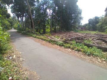 Semi Joglo Rumah Mewah dalam Perum Karta Nirwana