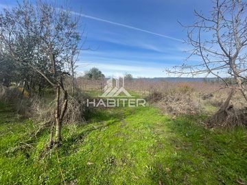 Parcela en Venta en CAMINO LA MONTAÑA DE TENO