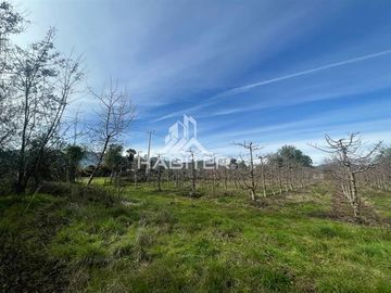 Parcela en Venta en CAMINO LA MONTAÑA DE TENO
