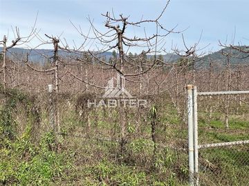 Parcela en Venta en CAMINO LA MONTAÑA DE TENO