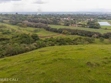 Lote en venta en Palmira. Cod V5662