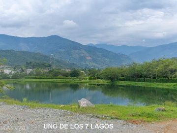 Lote en venta en Palmira. Cod V5662