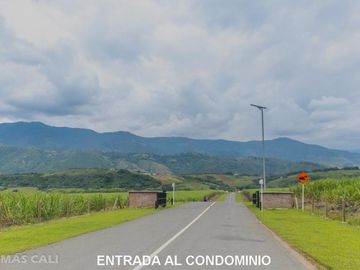 Lote en venta en Palmira. Cod V5662