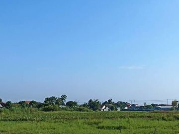 1 Juta-an Dekat RSUD Kardinah Tegal SHM