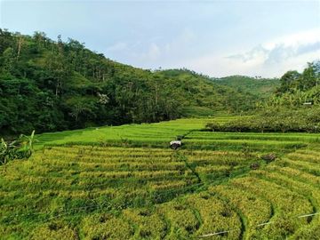 Tanah Cocok untuk Wisata / dibangun Hotel Ngargoyoso Karanganyar