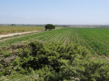 VENTA TERRENO EN CAÑETE 3.21 HECTAREAS