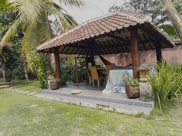 Termurah Dikelasnya Rumah Semi Furnished Lahan Luas Di Turi