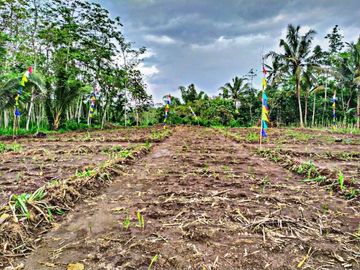 Info Tanah murah Lokasi di desa palaan kec. Ngajum