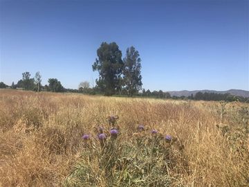 Sitio en Venta en La Lumbrera de Puangue - Melipilla