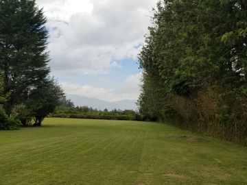 En Puembo cerca a club Arrayanes oriente de Quito Terreno en venta