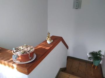 Arzobispo González/Catedral - Casa - Venta