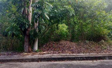 179 SQM Lot for Sale in Greenville Heights Subdivision Consolacion Cebu