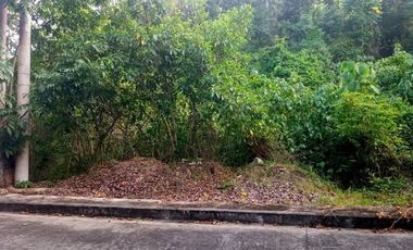 179 SQM Lot for Sale in Greenville Heights Subdivision Consolacion Cebu