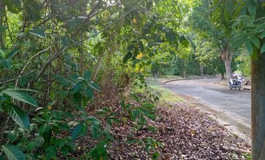 179 SQM Lot for Sale in Greenville Heights Subdivision Consolacion Cebu