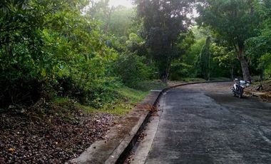 179 SQM Lot for Sale in Greenville Heights Subdivision Consolacion Cebu