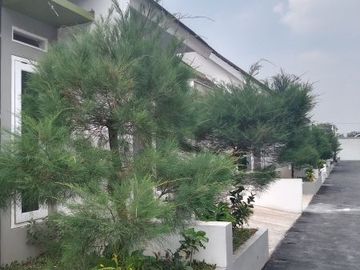 dealova mahaka cluster langsung huni