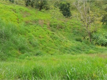 Se Vende Excelente Finca en Filandia, Quindío.