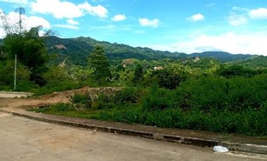 218 Sqm Overlooking CORNER LOT for Sale in Greenwoods Subdivision near Talamban Cebu City