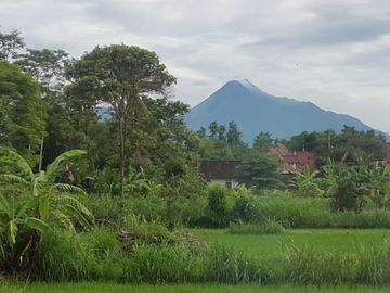 Rumah Villa Joglo & Resto Kolam Renang Tanah Luas di Gito - Gati