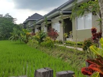 Rumah Villa Joglo & Resto Kolam Renang Tanah Luas di Gito - Gati