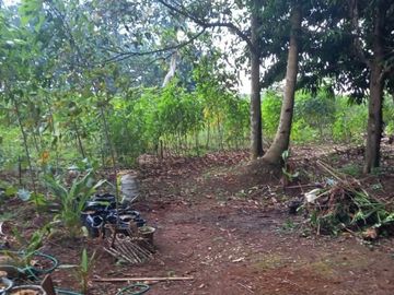Tanah strategis pinggir jalan raya Sawangan Depok