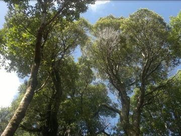 Parcela en Venta en Quellón