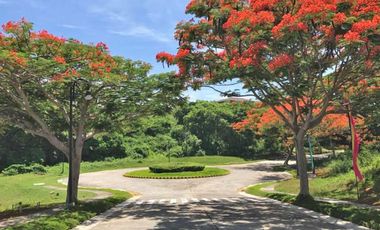 Beach Lots for sale in Playa Calatagan, Batangas