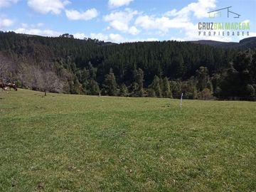 Sitio en Venta en Cercano a la ciudad