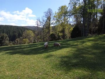 Sitio en Venta en Cercano a la ciudad