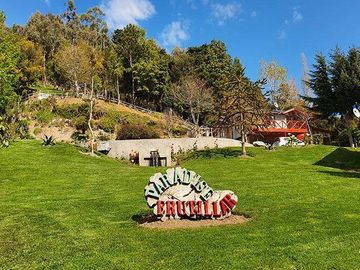 Propiedad Comercial , Puunta Larga , Frutillar