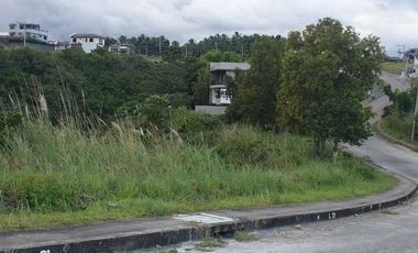 MOST AFFORDABLE VISTA GRANDE 161 Sqm Subdivision Lot for Sale in Bulacao Talisay Cebu City