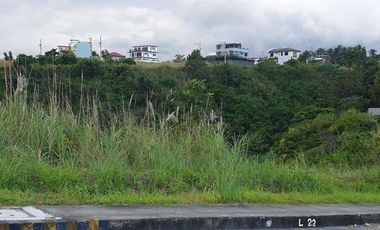 MOST AFFORDABLE VISTA GRANDE 161 Sqm Subdivision Lot for Sale in Bulacao Talisay Cebu City