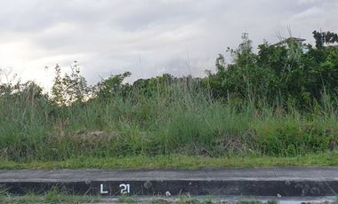 MOST AFFORDABLE VISTA GRANDE 161 Sqm Subdivision Lot for Sale in Bulacao Talisay Cebu City