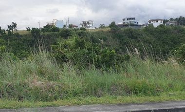 MOST AFFORDABLE VISTA GRANDE 161 Sqm Subdivision Lot for Sale in Bulacao Talisay Cebu City