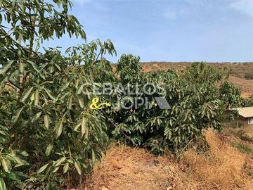 Parcela en venta en Quillota