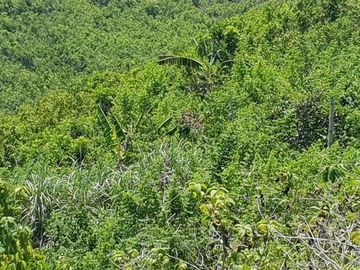Very Affordable 174 Sqm Lot for Sale in San Vicente, Liloan Cebu