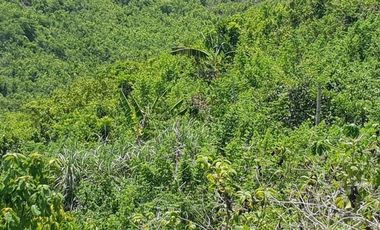 Very Affordable 174 Sqm Lot for Sale in San Vicente, Liloan Cebu