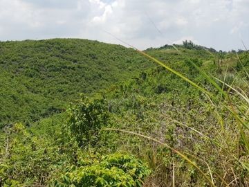 Very Affordable 174 Sqm Lot for Sale in San Vicente, Liloan Cebu