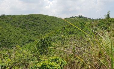 Very Affordable 174 Sqm Lot for Sale in San Vicente, Liloan Cebu