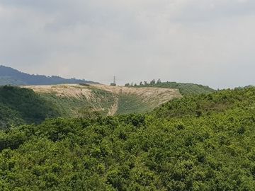 Very Affordable 174 Sqm Lot for Sale in San Vicente, Liloan Cebu
