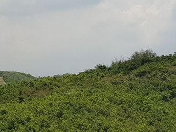 Very Affordable 174 Sqm Lot for Sale in San Vicente, Liloan Cebu