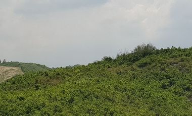 Very Affordable 174 Sqm Lot for Sale in San Vicente, Liloan Cebu