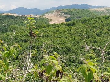 Very Affordable 174 Sqm Lot for Sale in San Vicente, Liloan Cebu