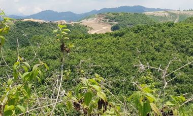 Very Affordable 174 Sqm Lot for Sale in San Vicente, Liloan Cebu