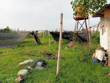 Tanah murah 826m ada bangunan gerbang dibenteng Ngamprah