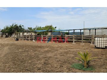 🌿 ¡Exclusivo Fundo Santa Apolonia en Venta – Moche, Trujillo! 🏡

Vive la experiencia de un refugio natural con modernas comodidades en una de las me