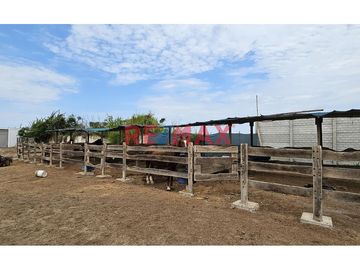 🌿 ¡Exclusivo Fundo Santa Apolonia en Venta – Moche, Trujillo! 🏡

Vive la experiencia de un refugio natural con modernas comodidades en una de las me